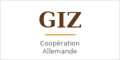 GIZ